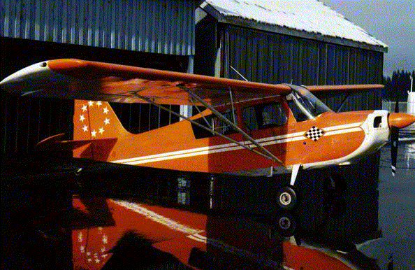 Citabria aircraft